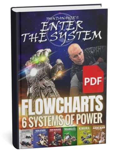 (FREE FLOWCHARTS) Enter The System Bundle By John Danaher